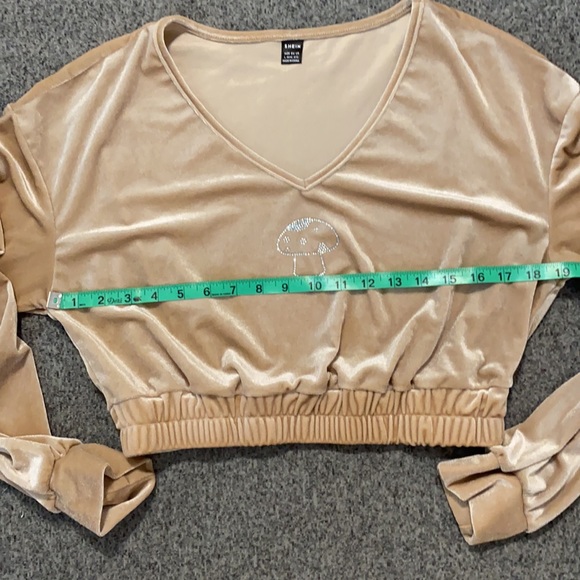 💞 5 for $10💞  Shimmering Champagne Velour Crop Top - Picture 5 of 7